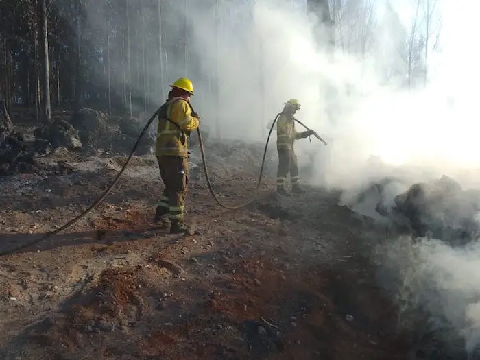 Comunidades mapuches alertan que los incendios están afectando irreparablemente los ecosistemas y la biodiversidad de sus territorios