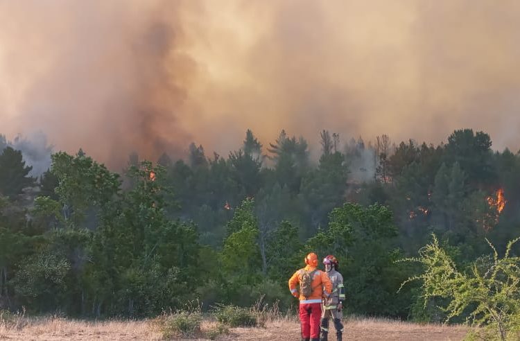 «No damos más», el desesperado llamado del alcalde de Ninhue ante los voraces incendios