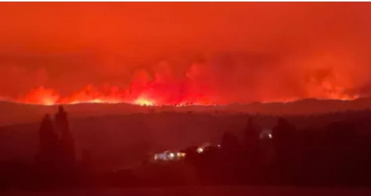 Situación crítica en Ninhue: alcalde pide a los habitantes que evacúen la comuna por incendio forestal