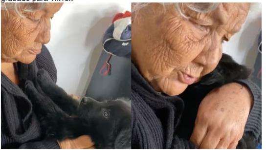 Lo más tierno que verás hoy: perro llora porque abuelita lo regaña (VIDEO)