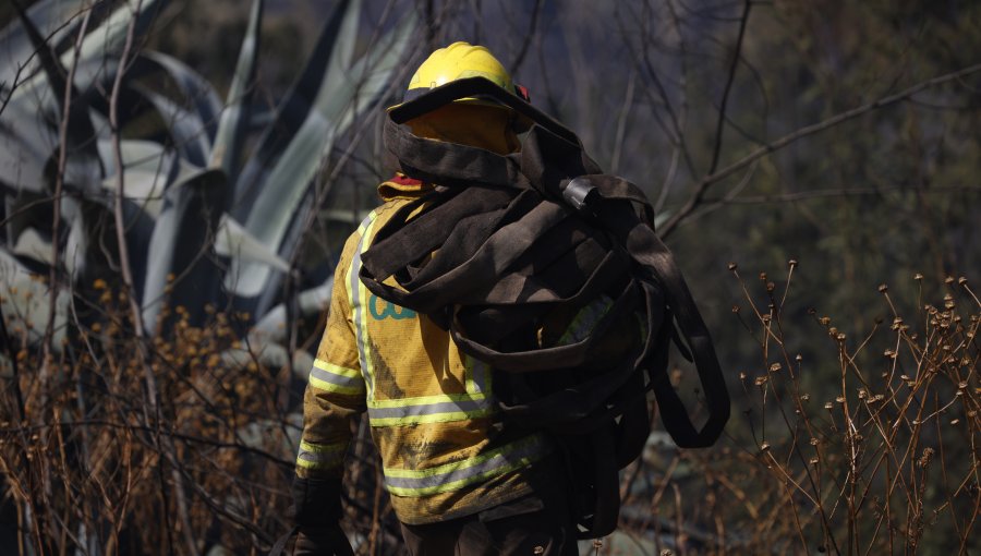 Dos personas con riesgo vital: confirman enfrentamiento entre brigadistas y lugareños en Punta de Parra