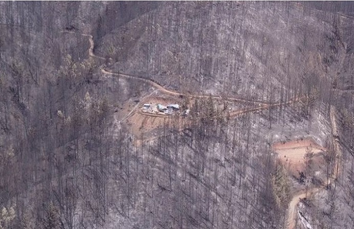 Van más de 7 mil damnificados víctimas de los  mega incendios forestales: Urge regular la industria maderera y sus plantaciones