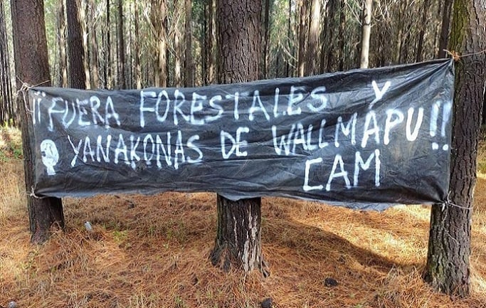 <strong>CAM sobre los mega incendios forestales: “No son más que una de las expresiones criminales del modelo forestal”</strong>