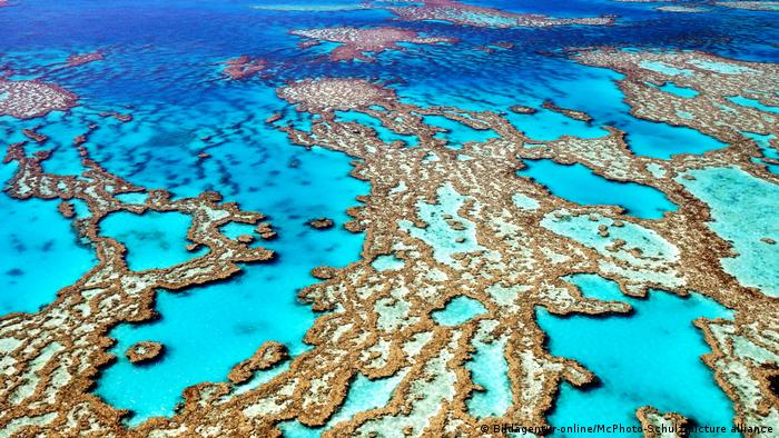 Australia rechaza por primera vez la creación de una mina de carbón para proteger la Gran Barrera de Coral