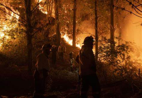 Incendios forestales: 28 detenidos por intencionalidad, más de 343.000 hectáreas destruidas y 5.500 damnificados