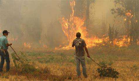 A partir del lunes 13 comenzara instalación de viviendas de emergencia para damnificados del Biobío