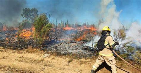 Senapred reportó 5.945 damnificados y 1.478 viviendas por incendios forestales