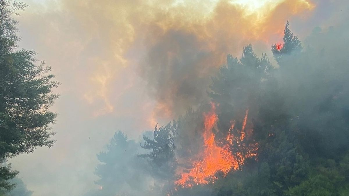 Casi mil alumnos sin colegio por incendios forestales en Bío Bío y La Araucanía
