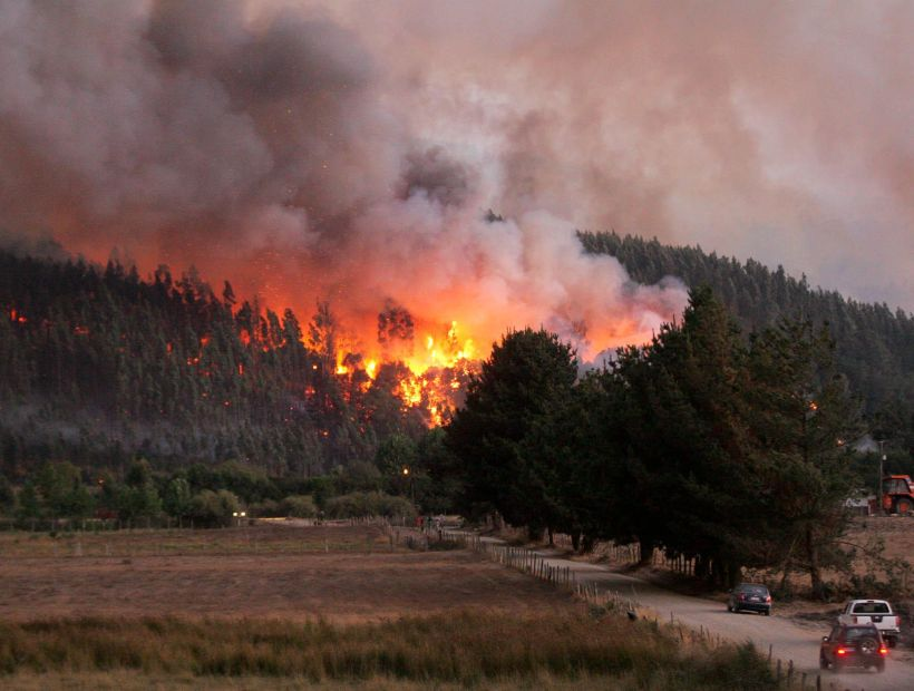 Por reactivación de incendios forestales: Evacuaron sectores del Biobío y La Araucanía (Videos)
