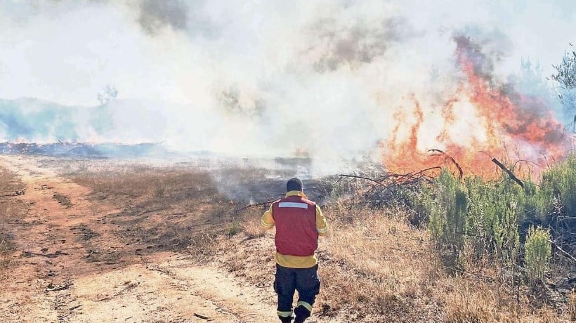 Incendios forestales en el sur: Habilitan albergues en las regiones de Ñuble y el Biobío