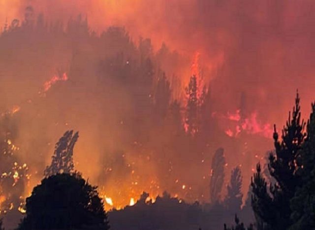 El dramático llamado a vecinos en Santa Juana: “El fuego se acerca al pueblo, se solicita estar preparados para evacuación”
