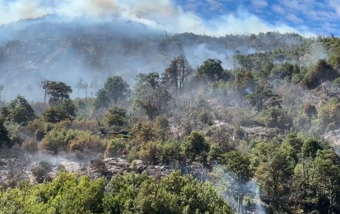 Hasta Palena llegaron los incendios forestales: grave afectación al bosque nativo y riesgo a población
