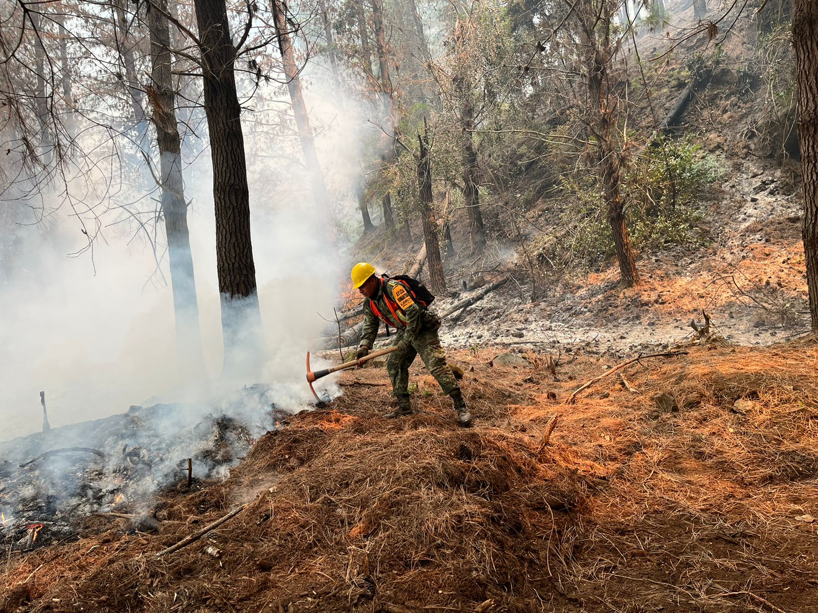 Fenats Nacional activa campaña en apoyo a damnificados por incendios forestales