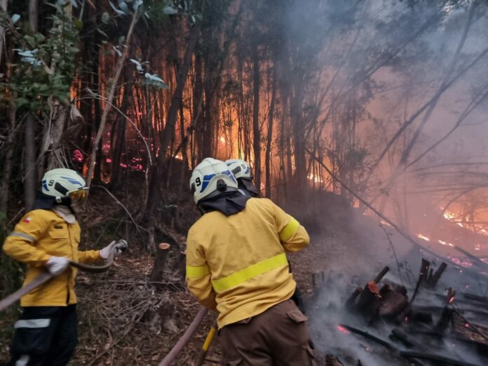 «Estamos investigando todas las hipótesis»: Fiscal Nacional evita entregar cifras de intencionalidad en los incendios forestales