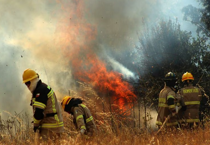 Senapred informa de 10 incendios forestales importantes en todo el país