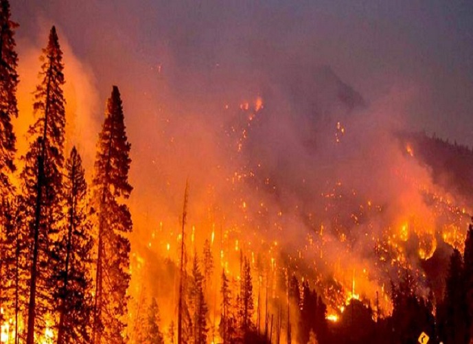 Alerta Roja por catástrofe incendios forestales: Varias comunas del centro sur de Chile afectadas