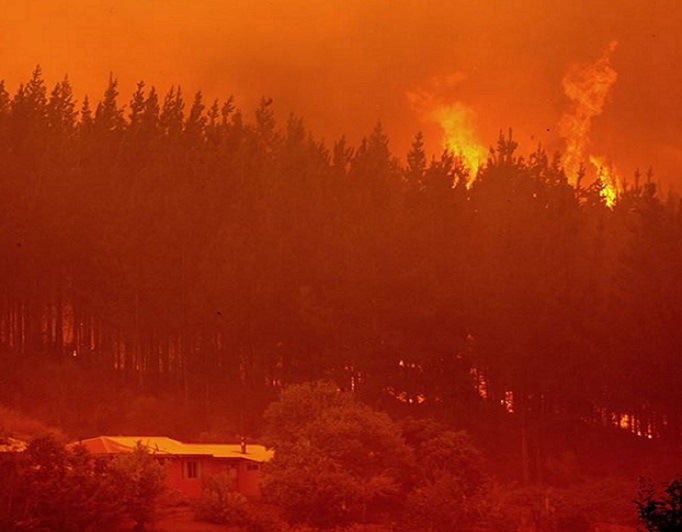 Organizaciones del Biobío llaman a superar el modelo forestal extractivista