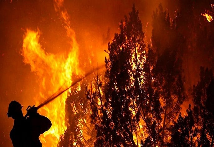 Desastre y descontrol de incendios en plantaciones forestales: Arde planta de celulosa de Forestal Arauco y diversas viviendas afectadas