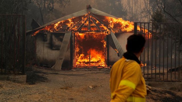 Estas son las primeras medidas del Plan de Recuperación y Ayudas Tempranas para afectados por incendios
