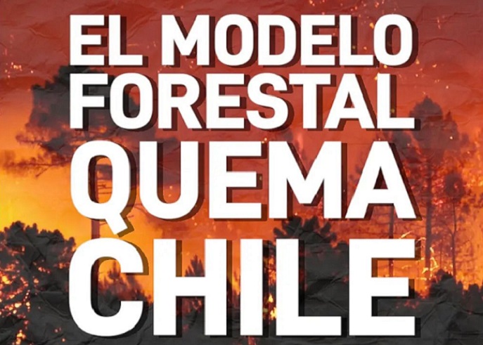 MODATIMA: “El modelo forestal quema Chile”