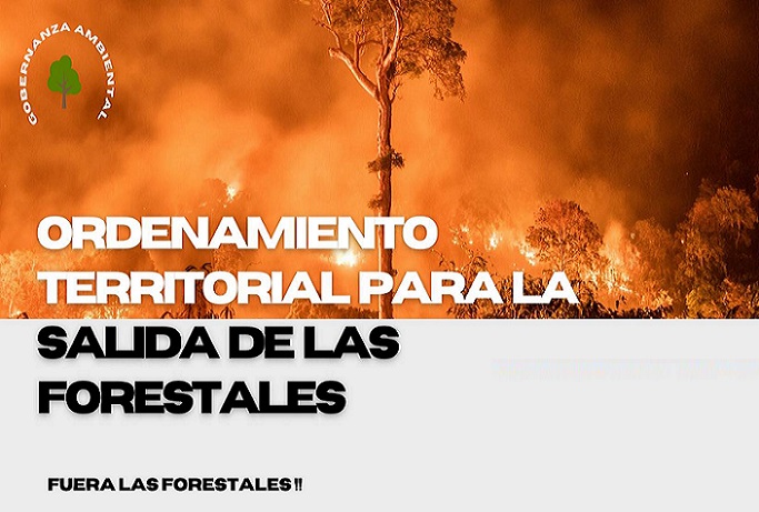 Mega incendios forestales: Exigen activar con urgencia reglamento para Política de Ordenamiento Territorial