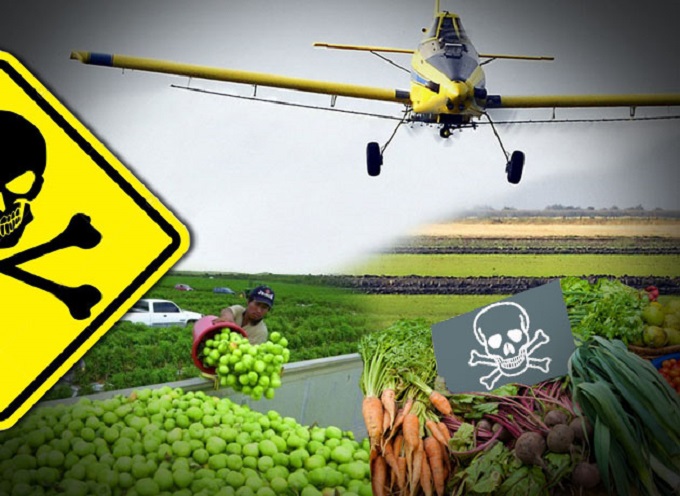 Investigación científica confirma que pesticidas agrotóxicos aumenta el riesgo de padecer cáncer en poblados rurales