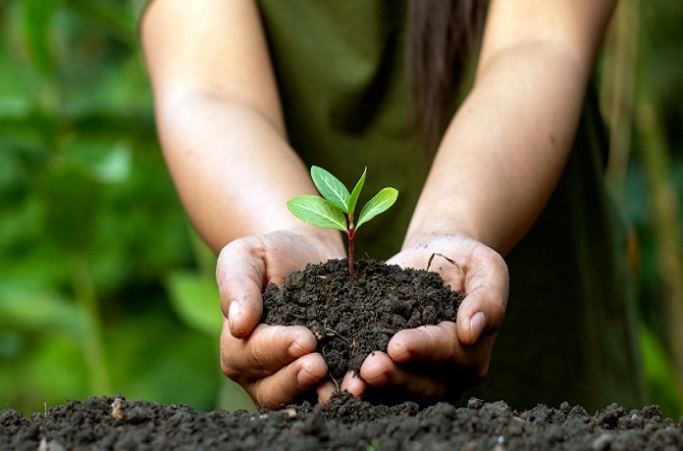 Especialista explica cómo el suelo y la vegetación trabajan juntos para retener las lluvias