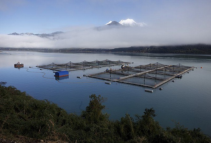 Áreas protegidas con concesiones industriales en SBAP: grupo parlamentario buscará revertir polémico artículo del proyecto ley