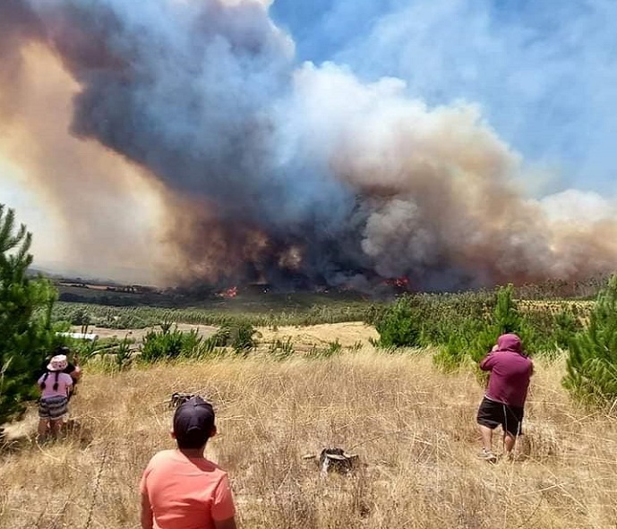 Fuego de mega incendios forestales arrasa con numerosas comunidades mapuche