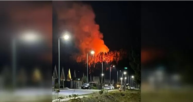 Bomberos combaten un incendio forestal en sector Lomas Coloradas de San Pedro de la Paz