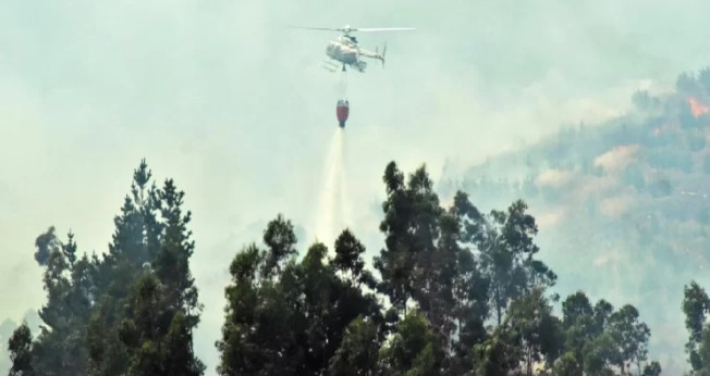 Combaten el útlimo incendio forestal activo en la comuna Los Sauces región de La Araucanía