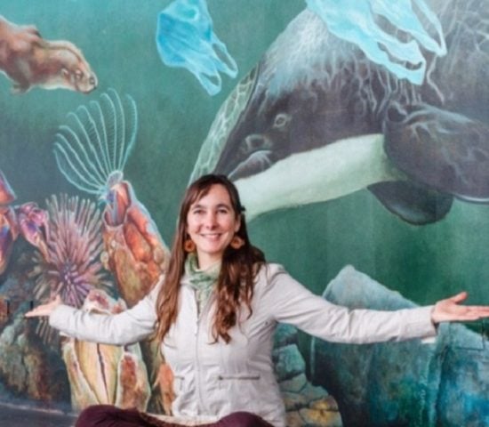 Especialista en educación marina señala que la amenaza número uno para las especies endémicas en Chile es el desconocimiento