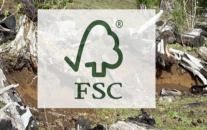 <strong>La complicidad de certificadoras ambientales en la catástrofe forestal en Chile: El sello FSC que no regula</strong>