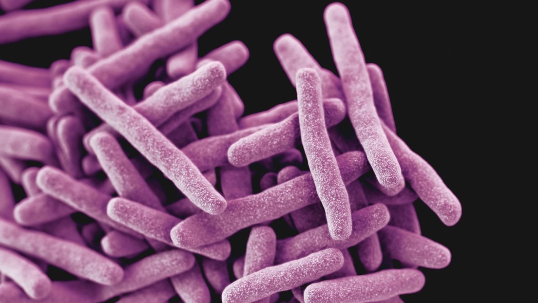 Europa es azotada por la tuberculosis luego de décadas con el descenso más rápido del mundo
