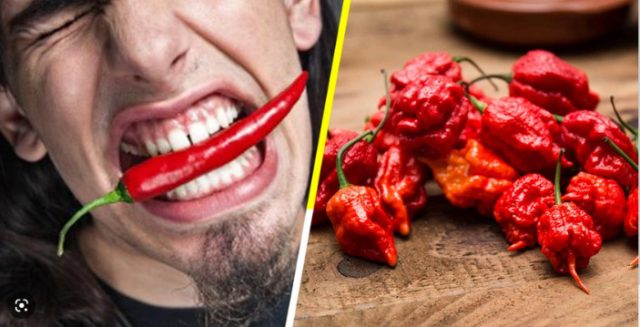 El ají más picante del mundo no es chileno ni mexicano: es el Pepper X de Estados Unidos