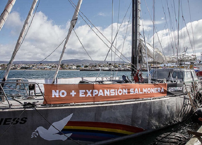 <strong>Emblemático barco de Greenpeace llegó al sur de Chile para denunciar los impactos de la industria salmonera</strong>