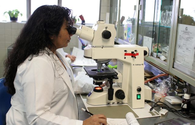 Llama Cepal a fomentar participación de mujeres en la ciencia y tecnología