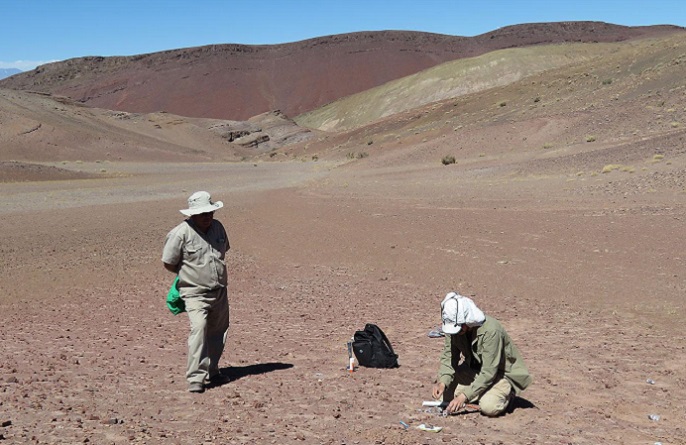 Nuevos descubrimientos paleontológicos en el Desierto de Atacama: peces, un extraño anfibio, restos de reptiles, dinosaurios y tiburones