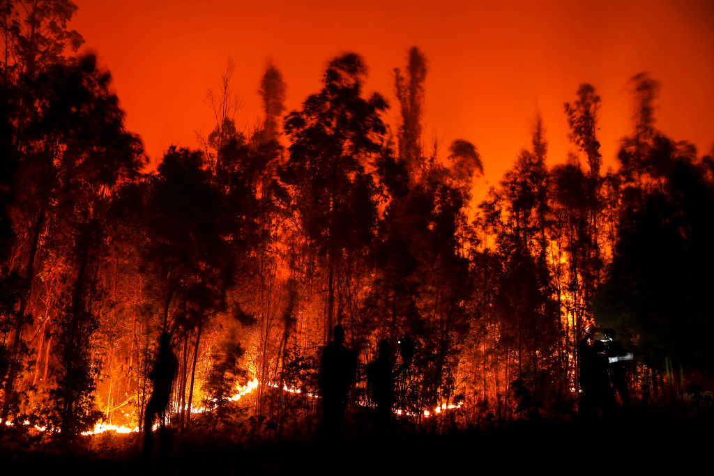 Coordinadora residente de la ONU en Chile: al país le falta claridad en la prevención y combate de incendios forestales en áreas rurales