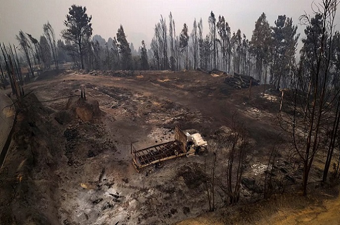 Una mirada a Santa Juana, Ninhue y Purén: la huella que dejaron los incendios forestales