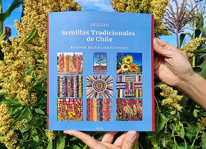 Realizan el lanzamiento del “Catálogo de Semillas Tradicionales de Chile”