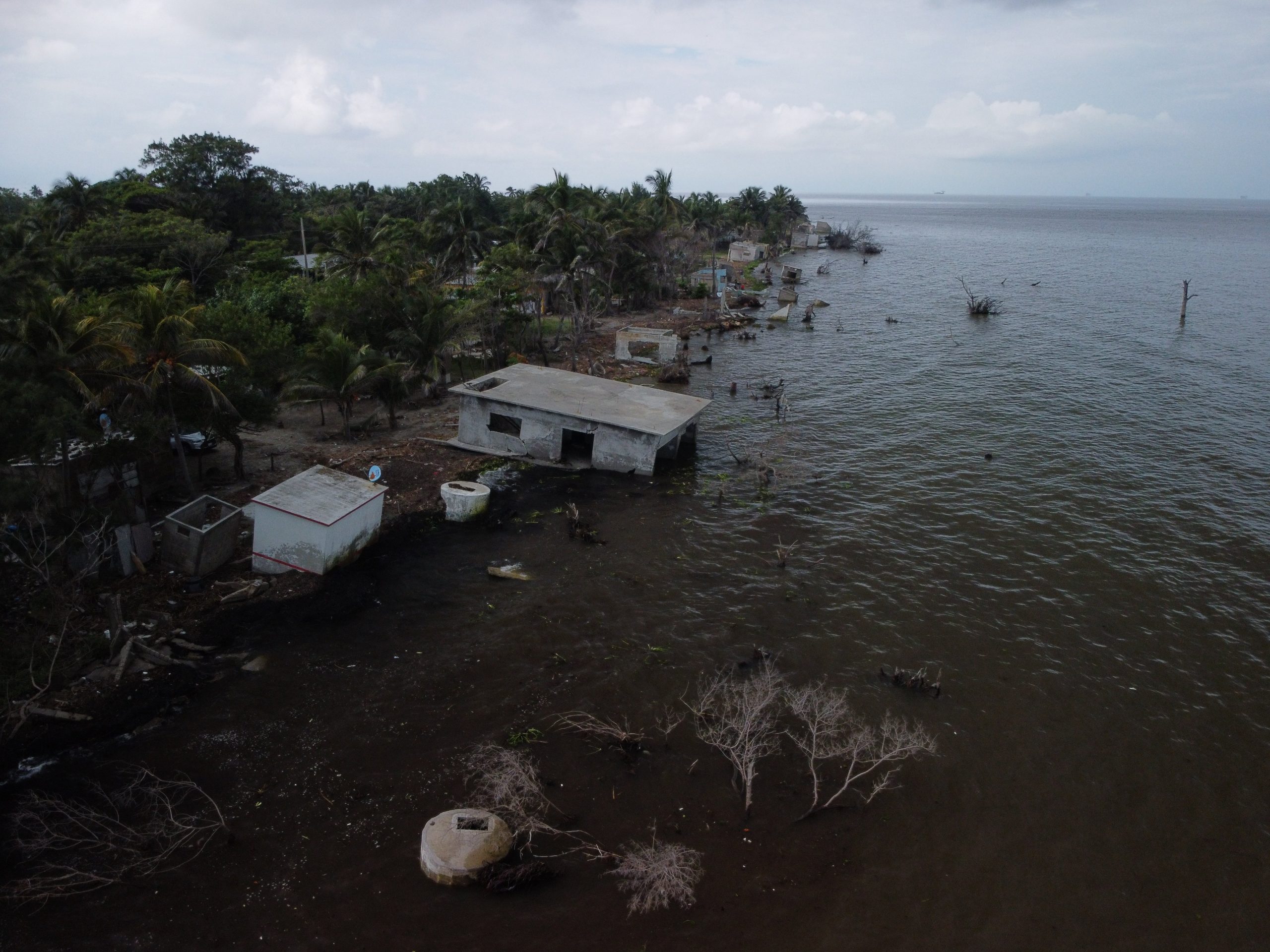 El Bosque en Tabasco corre riesgo por el mar