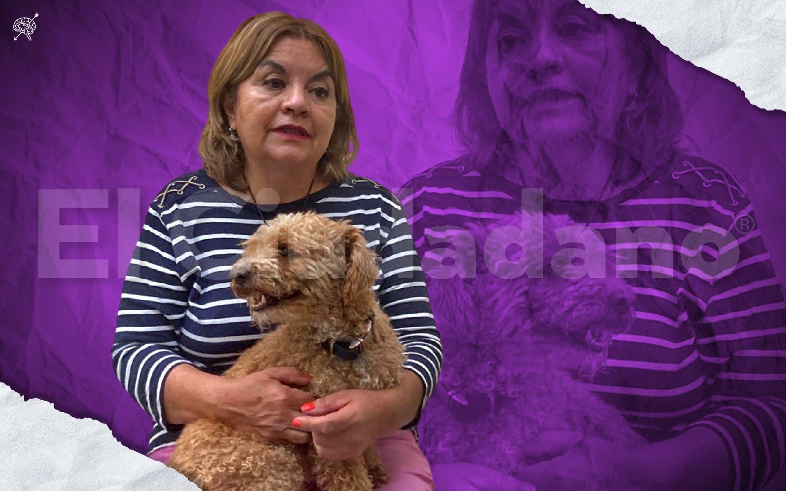 Maythé Peral ayuda a sobrevivir a perros y gatos desde hace 40 años