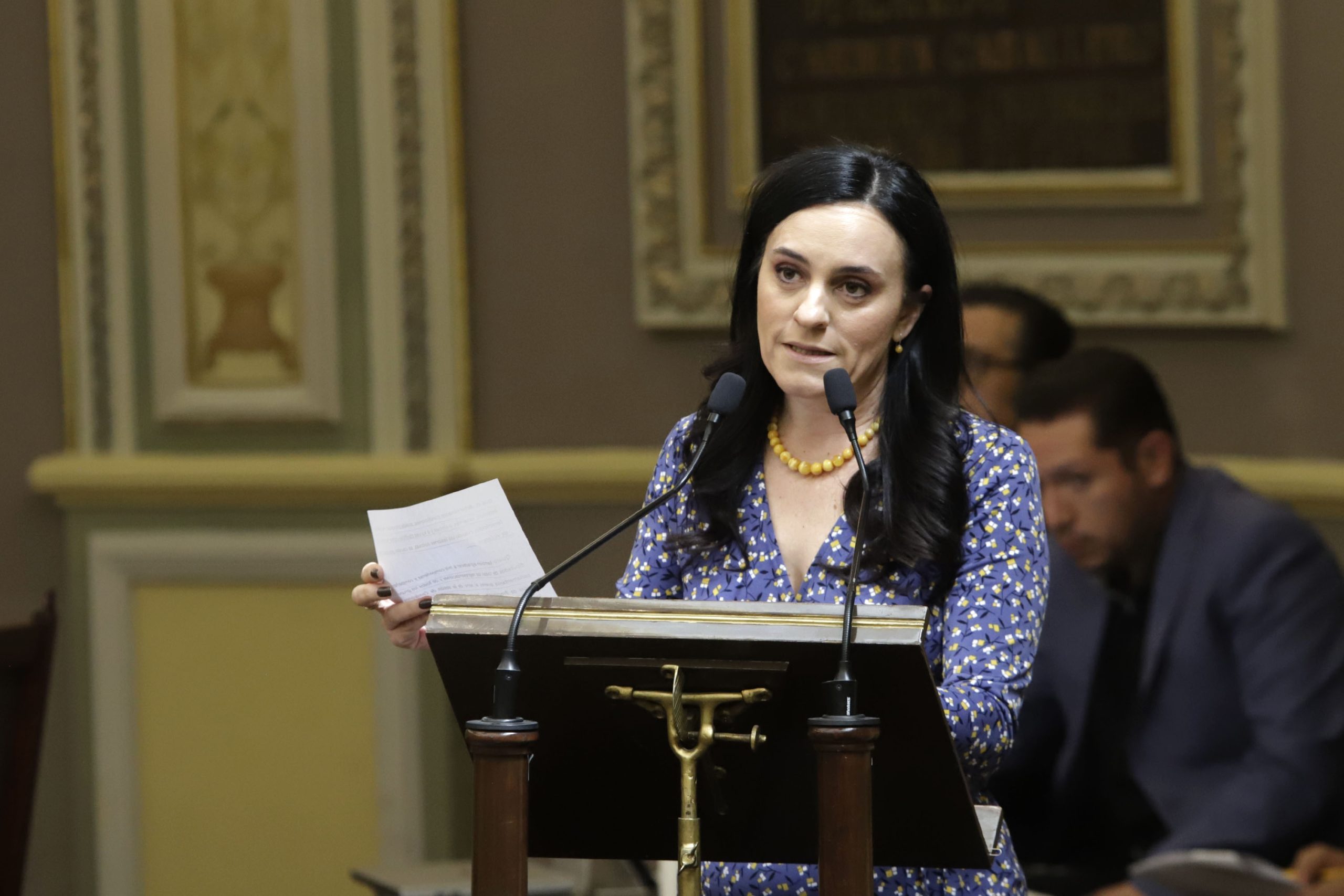 Mónica Rodríguez presidirá la Mesa Directiva del Congreso local