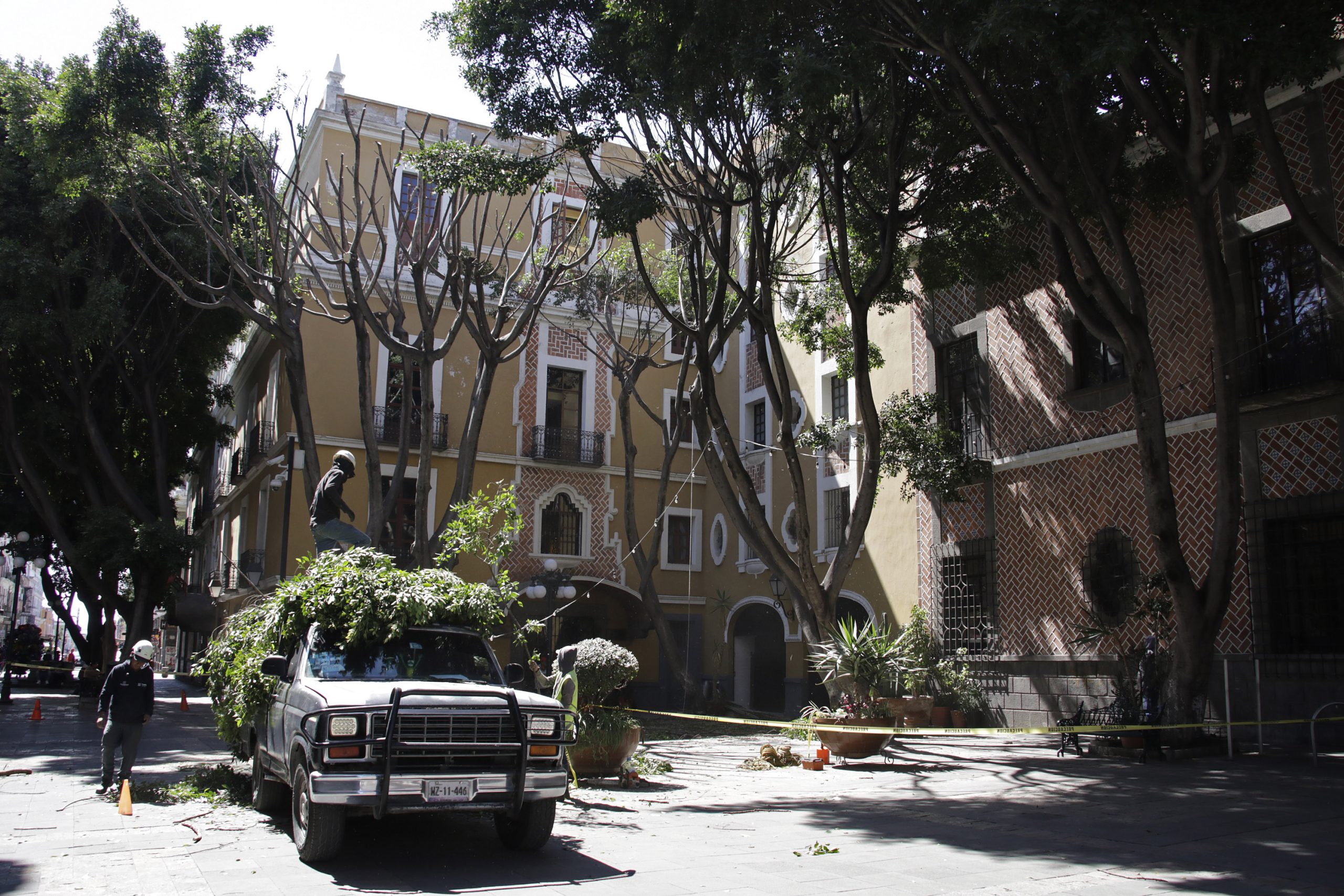 Después de un mes de poda irregular, ayuntamiento sigue analizando sanción