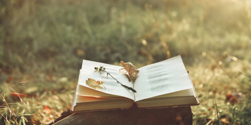 Este martes se celebra el Día Mundial de la Poesía
