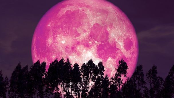 Eventos astronómicos durante abril: Luna rosa, lluvia de estrellas, Eclipse solar híbrido y más