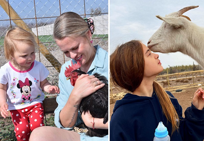 <strong>Santuario Empatía: un lugar donde se aman y respetan a los animales sin distinguir su especie</strong>