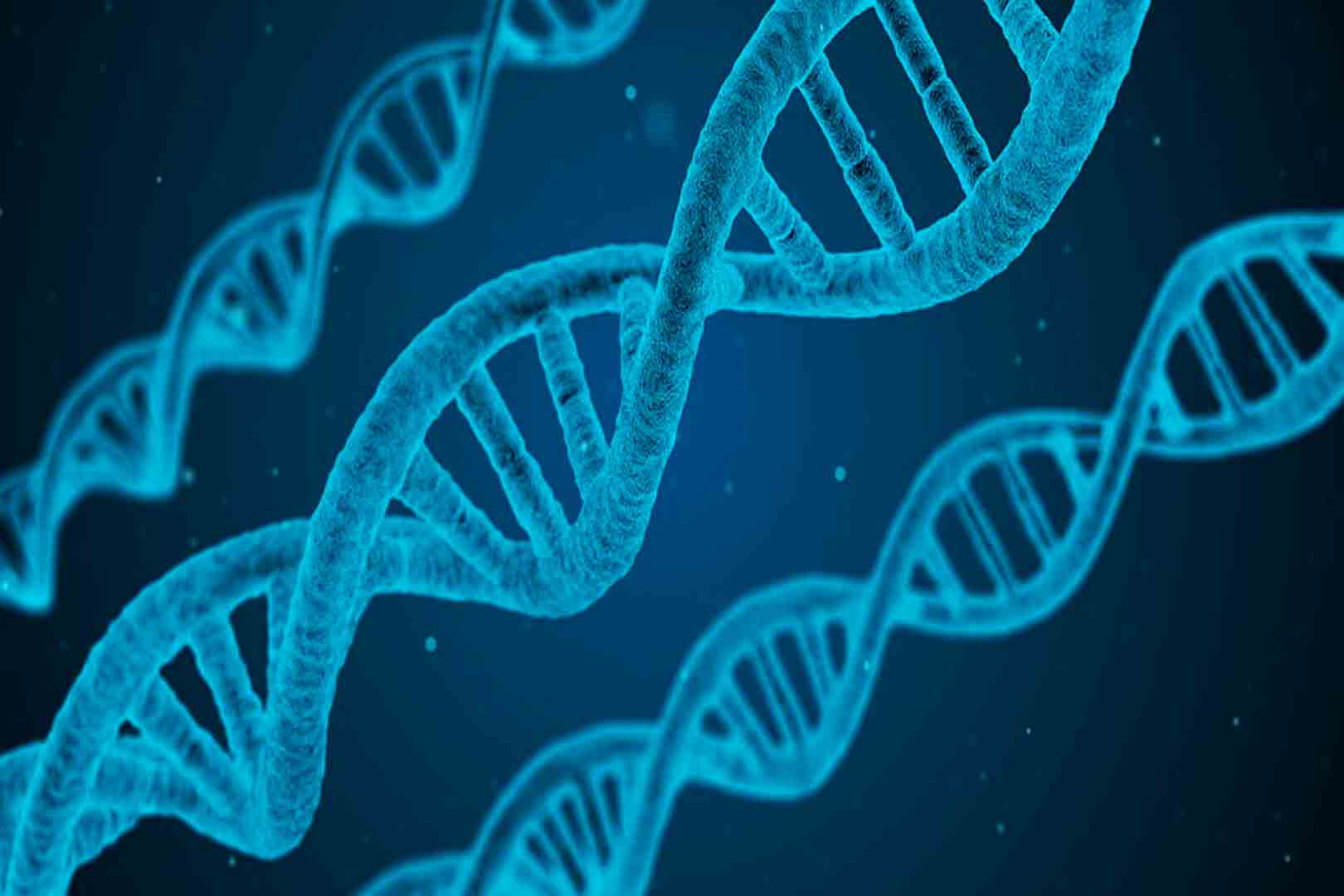 Cuestionamientos éticos rodean a las futuras terapias genéticas
