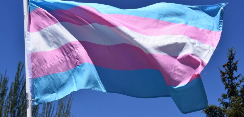 Encuesta revela que adultos transgénero son más felices después de la transición